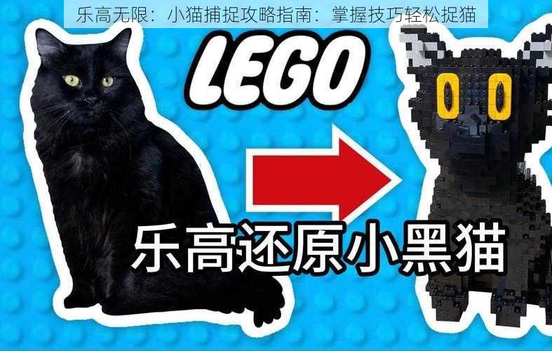 乐高无限：小猫捕捉攻略指南：掌握技巧轻松捉猫