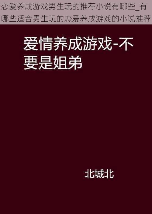 恋爱养成游戏男生玩的推荐小说有哪些_有哪些适合男生玩的恋爱养成游戏的小说推荐