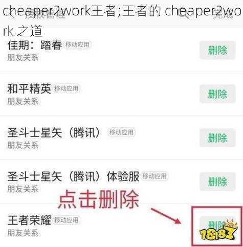 cheaper2work王者;王者的 cheaper2work 之道