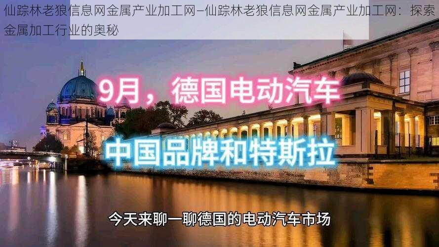 仙踪林老狼信息网金属产业加工网—仙踪林老狼信息网金属产业加工网：探索金属加工行业的奥秘