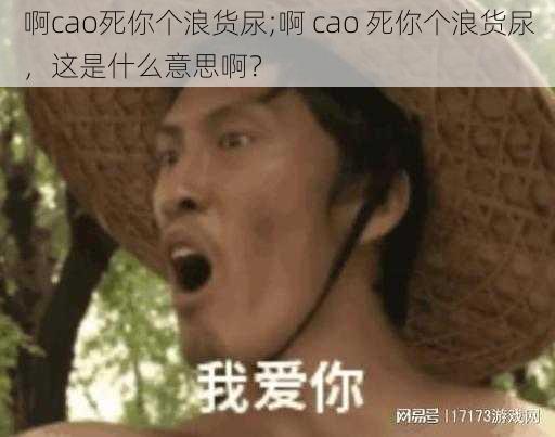 啊cao死你个浪货尿;啊 cao 死你个浪货尿，这是什么意思啊？