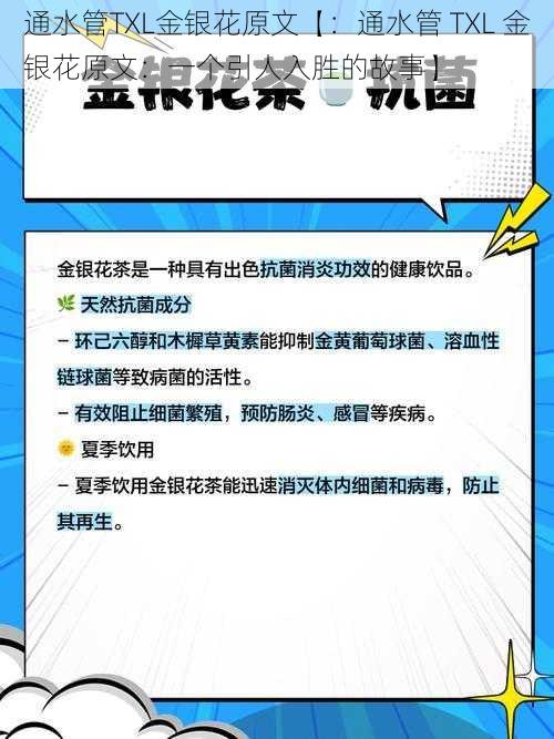 通水管TXL金银花原文【：通水管 TXL 金银花原文：一个引人入胜的故事】