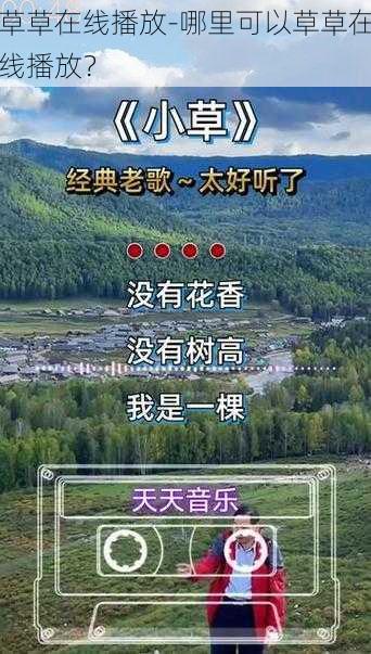 草草在线播放-哪里可以草草在线播放？