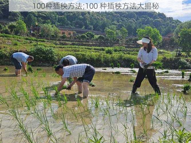 100种插秧方法;100 种插秧方法大揭秘