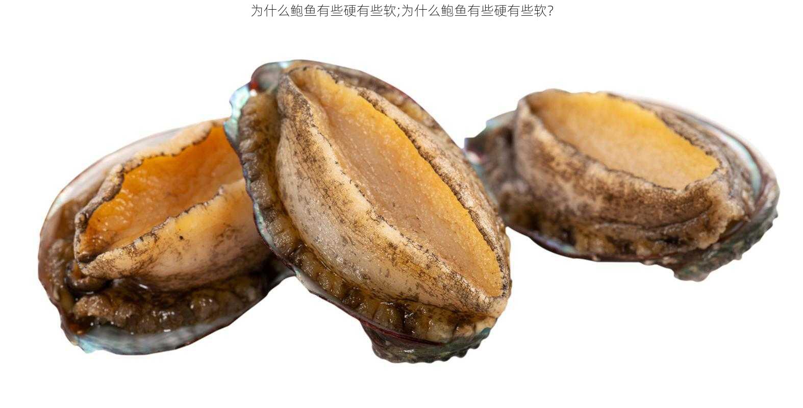 为什么鲍鱼有些硬有些软;为什么鲍鱼有些硬有些软？