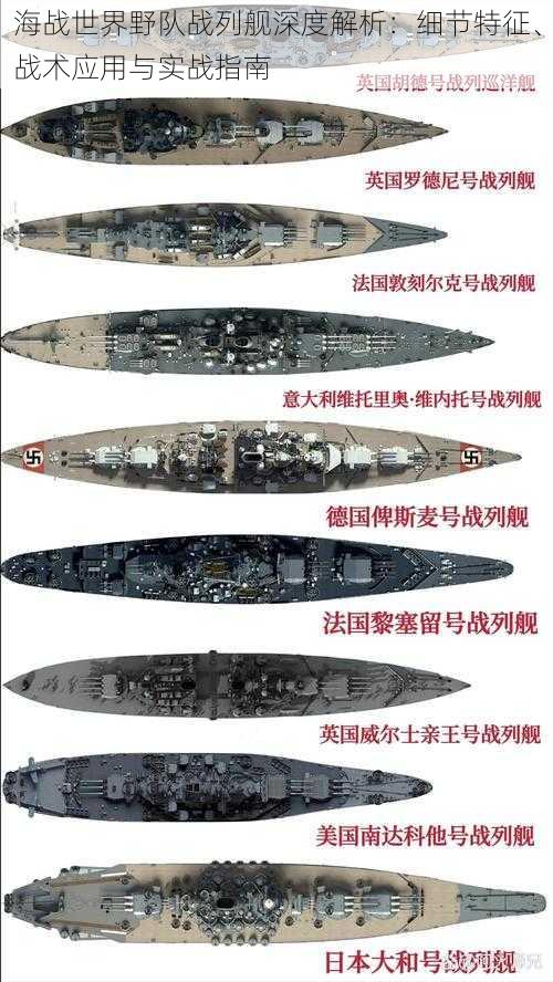 海战世界野队战列舰深度解析：细节特征、战术应用与实战指南