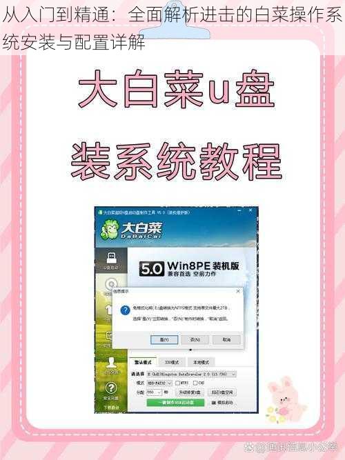 从入门到精通：全面解析进击的白菜操作系统安装与配置详解