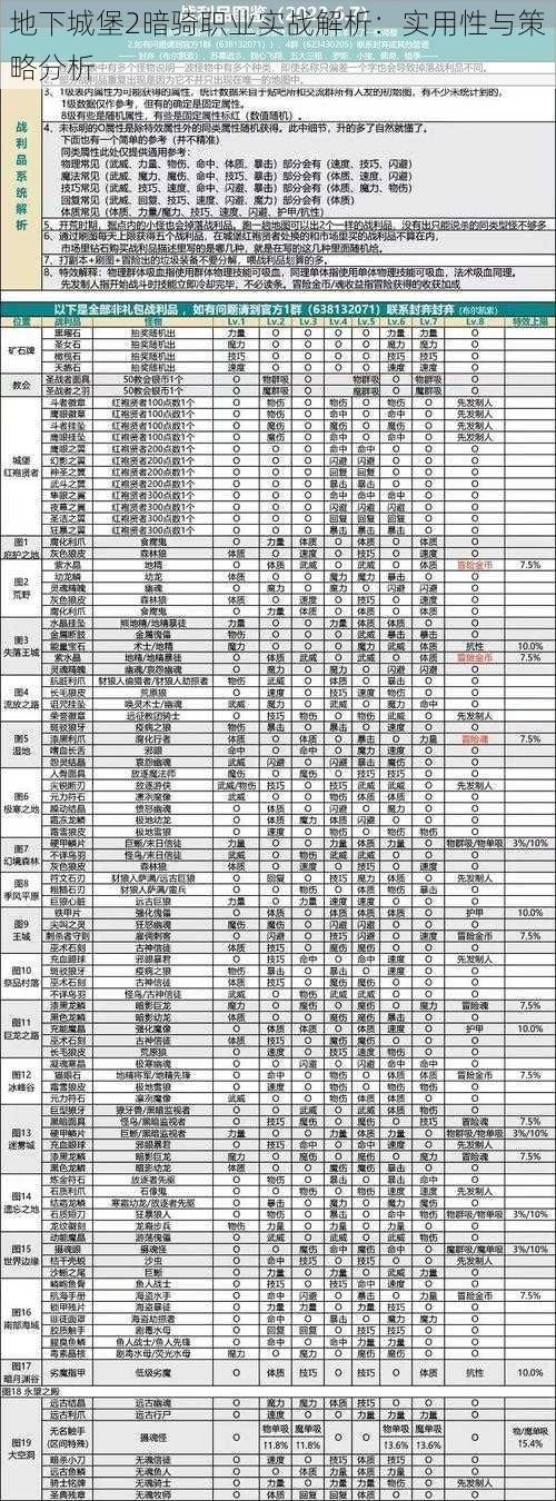 地下城堡2暗骑职业实战解析：实用性与策略分析