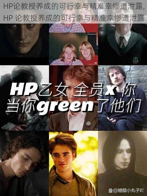 HP论教授养成的可行幸与精准幸惨遭泄露,HP 论教授养成的可行幸与精准幸惨遭泄露