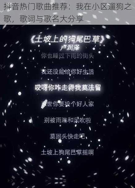 抖音热门歌曲推荐：我在小区遛狗之歌，歌词与歌名大分享