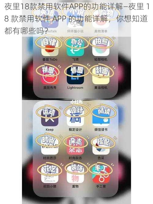 夜里18款禁用软件APP的功能详解—夜里 18 款禁用软件 APP 的功能详解，你想知道都有哪些吗？