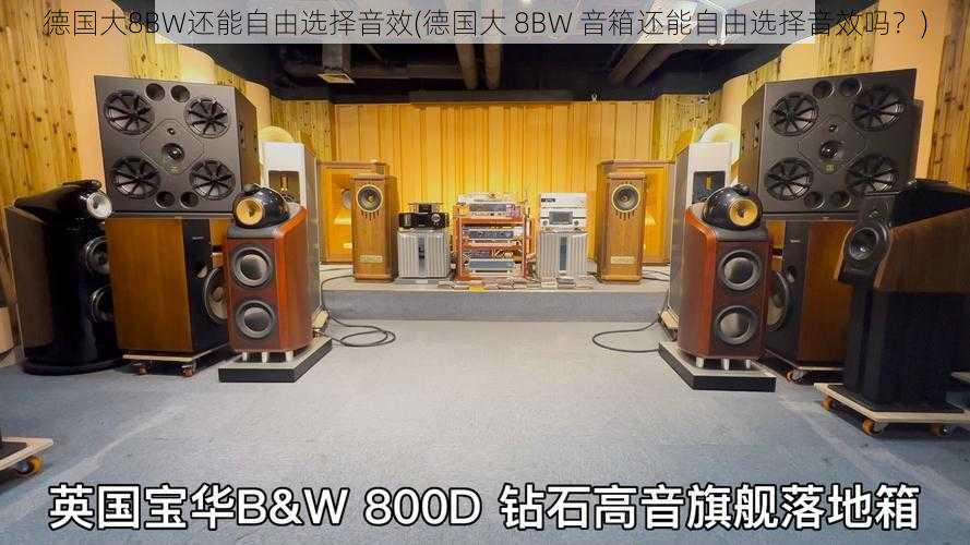 德国大8BW还能自由选择音效(德国大 8BW 音箱还能自由选择音效吗？)