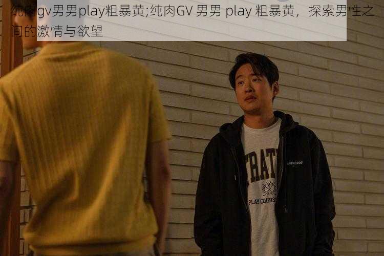 纯肉gv男男play粗暴黄;纯肉GV 男男 play 粗暴黄，探索男性之间的激情与欲望