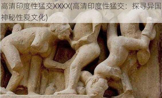 高清印度性猛交XXXX(高清印度性猛交：探寻异国神秘性爱文化)