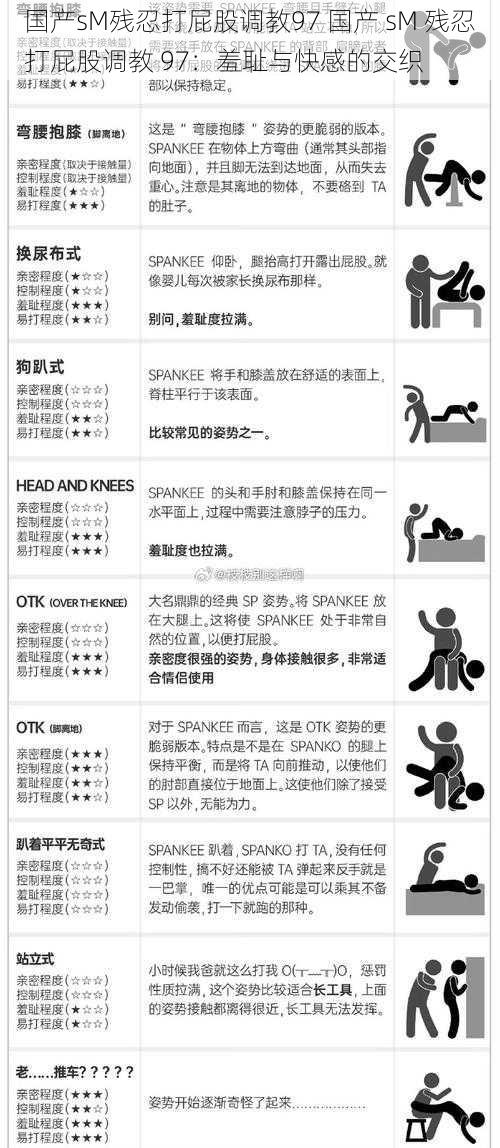 国产sM残忍打屁股调教97 国产 sM 残忍打屁股调教 97：羞耻与快感的交织