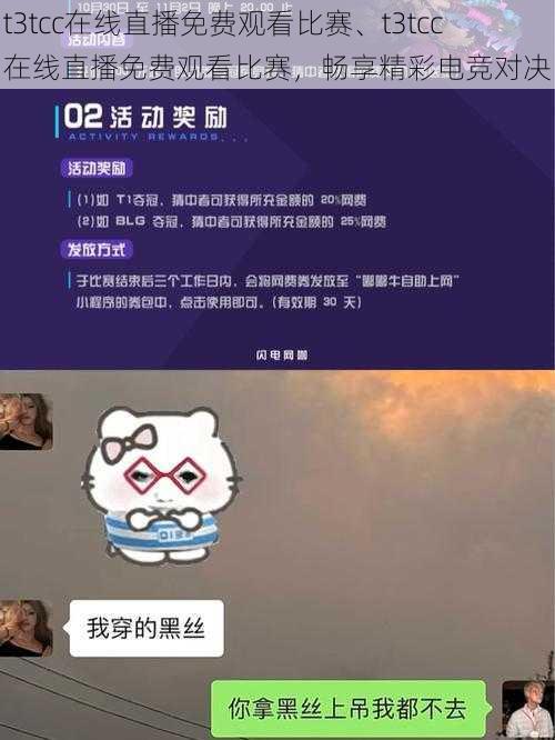 t3tcc在线直播免费观看比赛、t3tcc 在线直播免费观看比赛，畅享精彩电竞对决