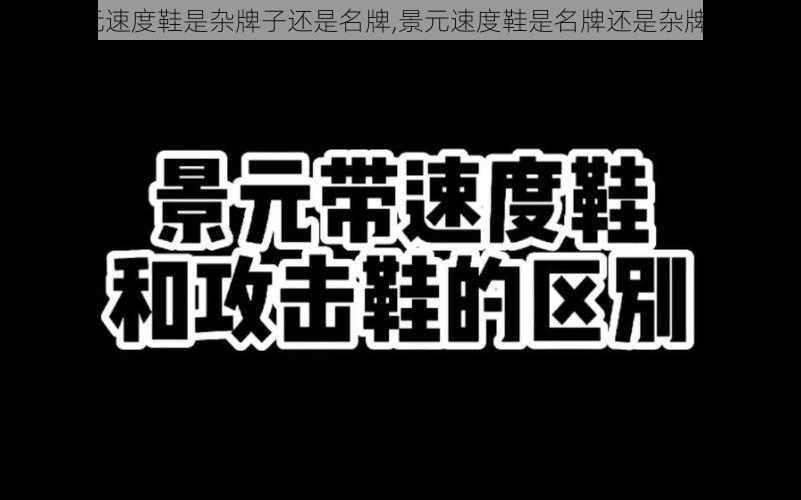 景元速度鞋是杂牌子还是名牌,景元速度鞋是名牌还是杂牌子？