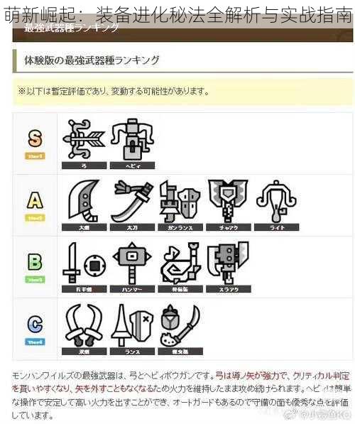 萌新崛起：装备进化秘法全解析与实战指南