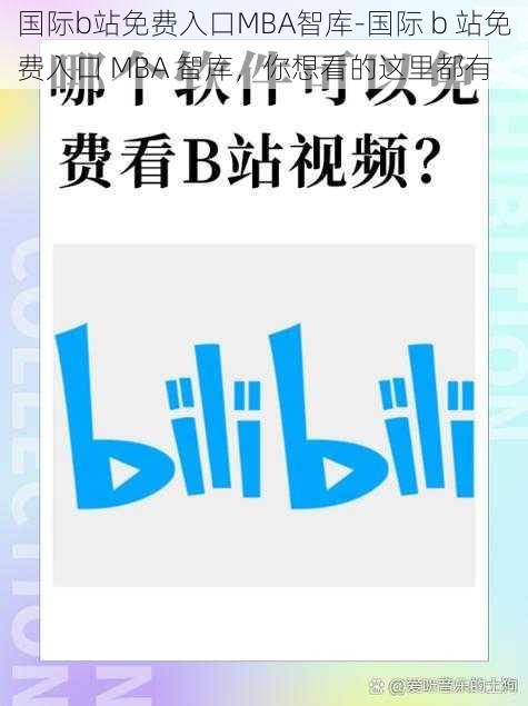 国际b站免费入口MBA智库-国际 b 站免费入口 MBA 智库，你想看的这里都有