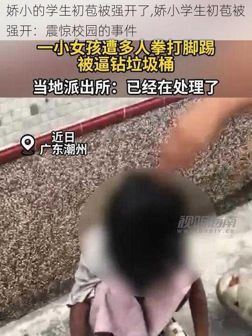 娇小的学生初苞被强开了,娇小学生初苞被强开：震惊校园的事件