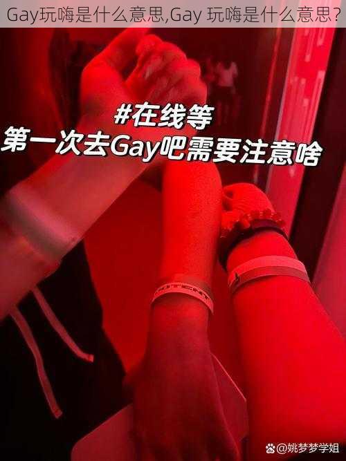 Gay玩嗨是什么意思,Gay 玩嗨是什么意思？