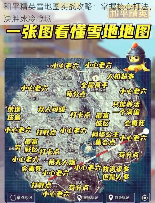 和平精英雪地图实战攻略：掌握核心打法，决胜冰冷战场