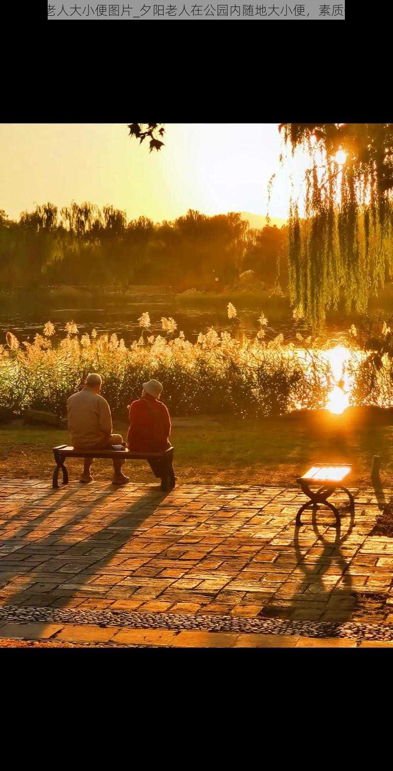 夕阳老人大小便图片_夕阳老人在公园内随地大小便，素质何在？