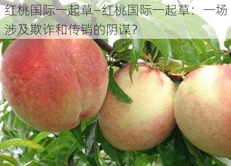 红桃国际一起草—红桃国际一起草：一场涉及欺诈和传销的阴谋？