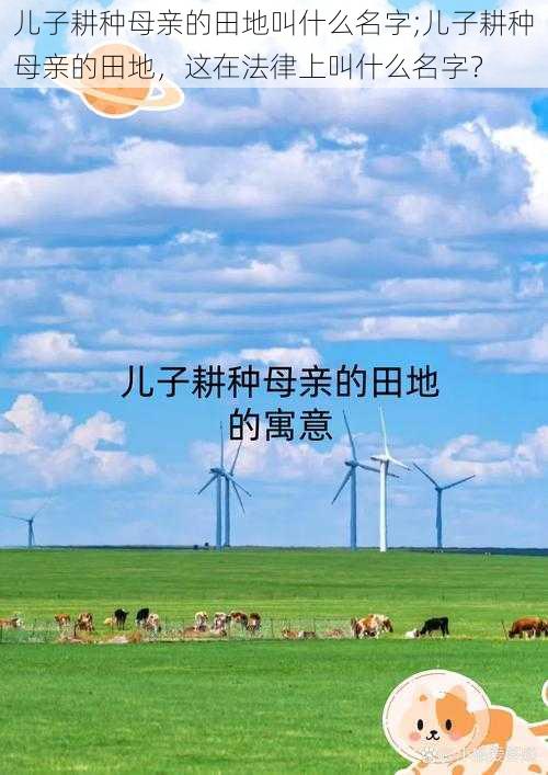 儿子耕种母亲的田地叫什么名字;儿子耕种母亲的田地，这在法律上叫什么名字？