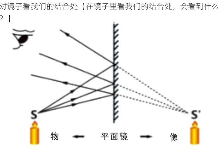 对镜子看我们的结合处【在镜子里看我们的结合处，会看到什么？】