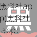 黑料社app(黑料社 app：探寻隐私的黑匣子？)