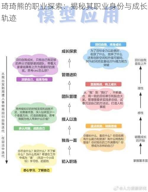 琦琦熊的职业探索：揭秘其职业身份与成长轨迹