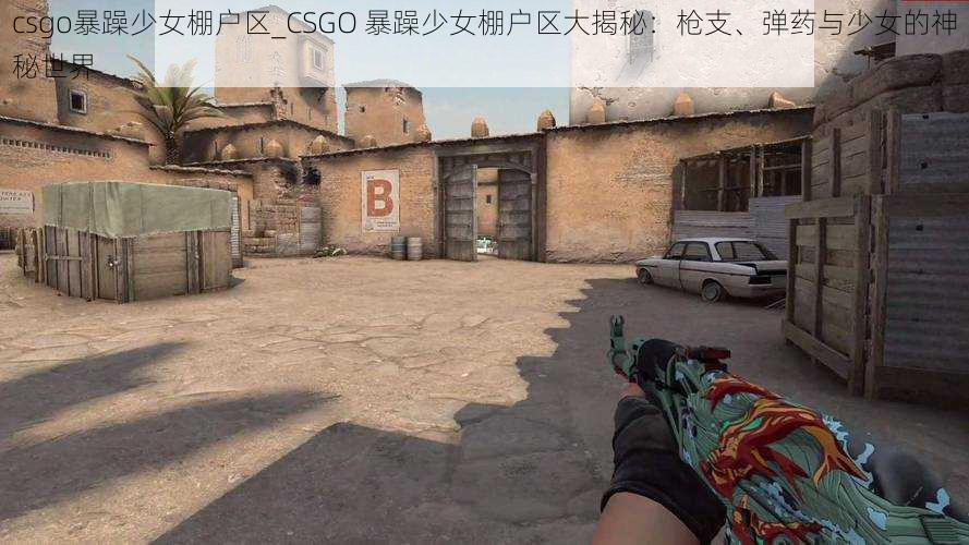 csgo暴躁少女棚户区_CSGO 暴躁少女棚户区大揭秘：枪支、弹药与少女的神秘世界