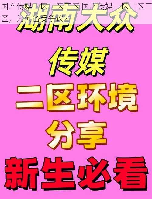 国产传媒一区二区三区 国产传媒一区二区三区，为何备受争议？