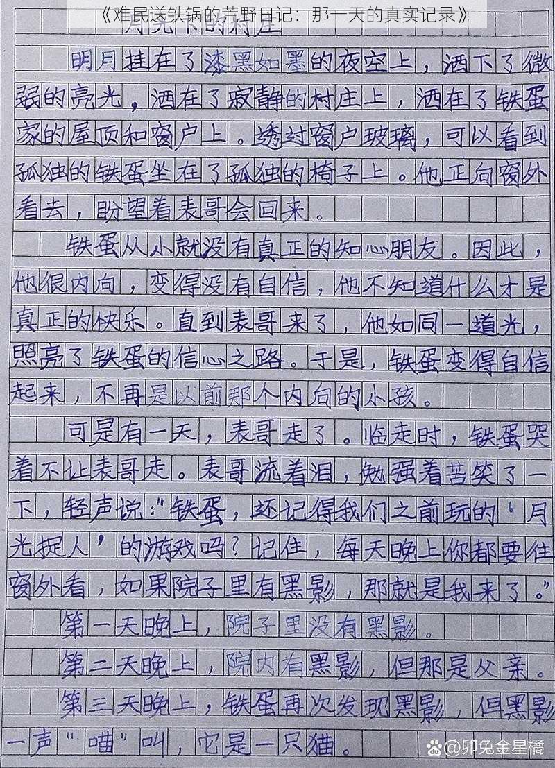 《难民送铁锅的荒野日记：那一天的真实记录》