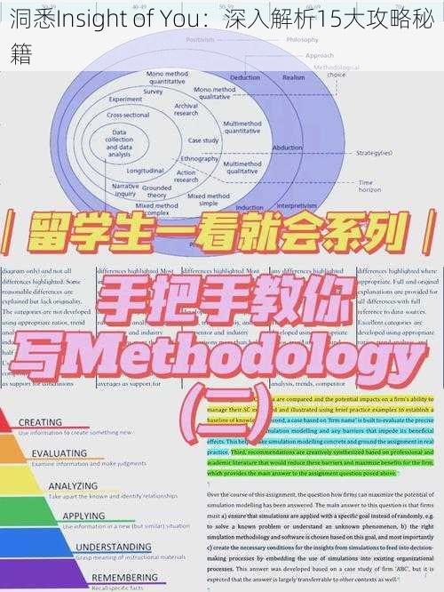 洞悉Insight of You：深入解析15大攻略秘籍