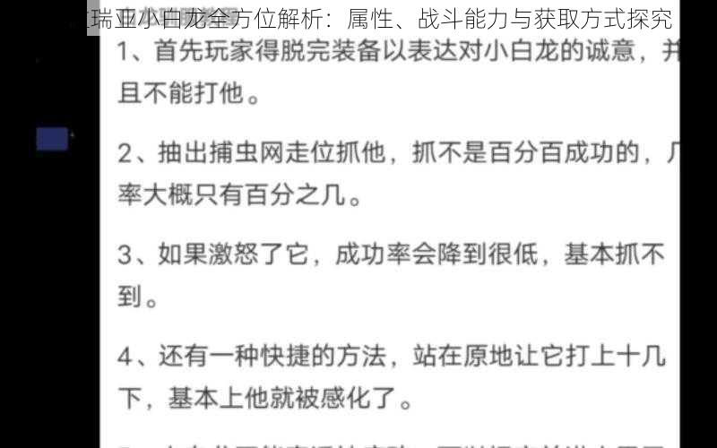 泰拉瑞亚小白龙全方位解析：属性、战斗能力与获取方式探究